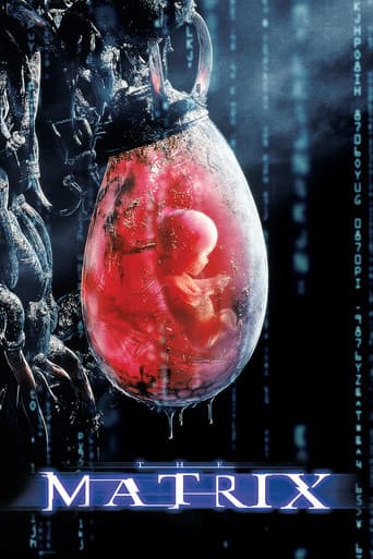 The Matrix poster 7