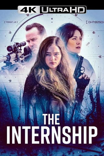 The Internship poster 3