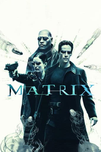 The Matrix poster 6