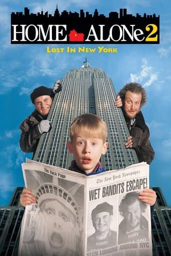 Home Alone 2: Lost in New York poster 4