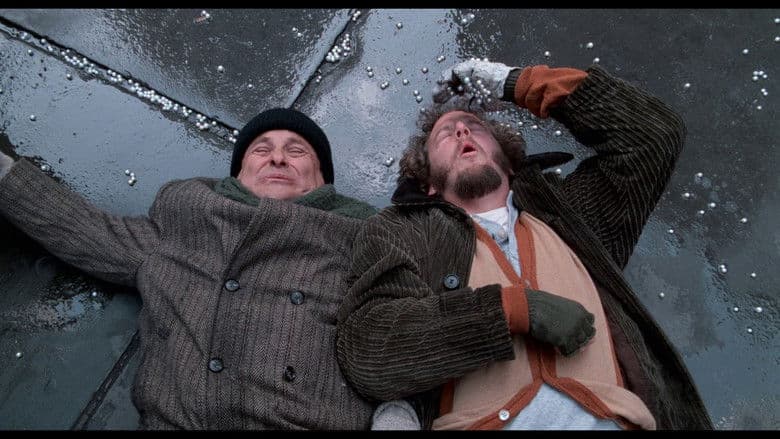 Home Alone 2: Lost in New York backdrop 10