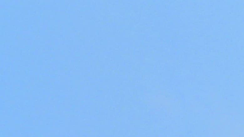 Irreversible backdrop 10