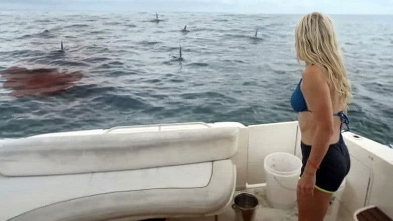 Great White Waters backdrop 2