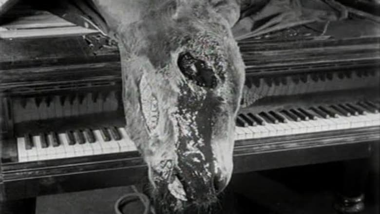 Un Chien Andalou backdrop 7