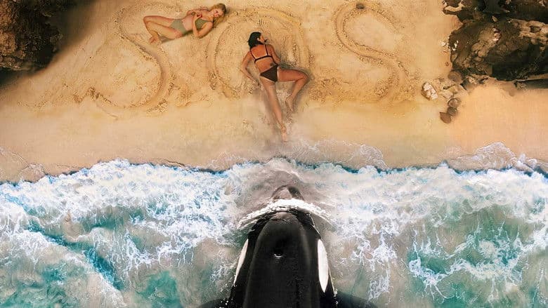 Killer Whale backdrop 2